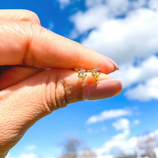 Teachertini Stud Earrings, I Teach therefore I Drink